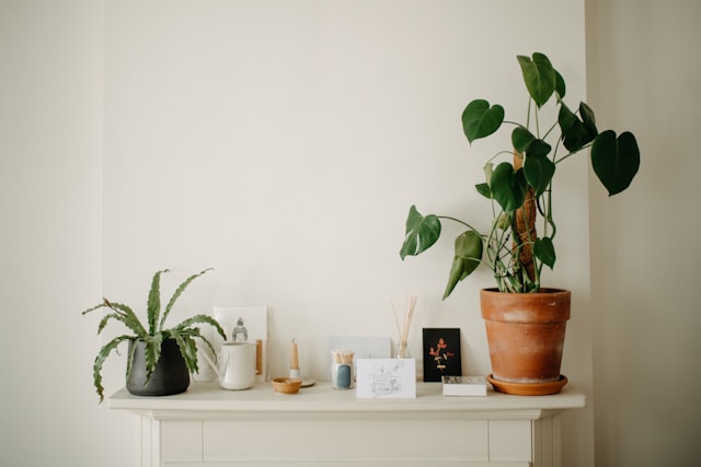 Home annie spratt p8ylk4ltytg unsplash