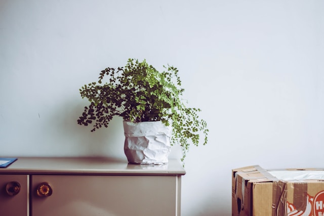 Home michal balog pn12rbul lc unsplash